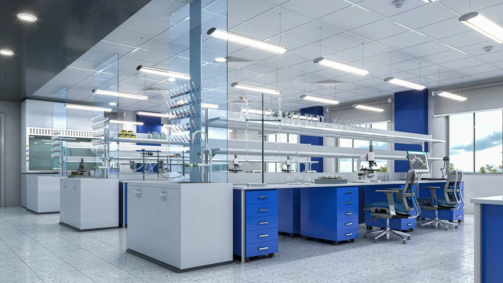  2024/07/Lab-with-Blue-Chairs.jpg 